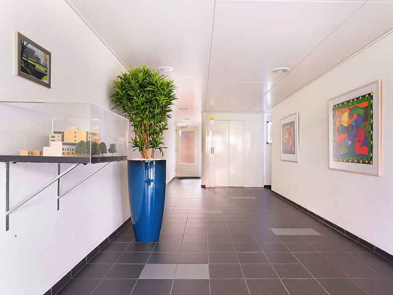 Bloemen op kantoor - Duoplant