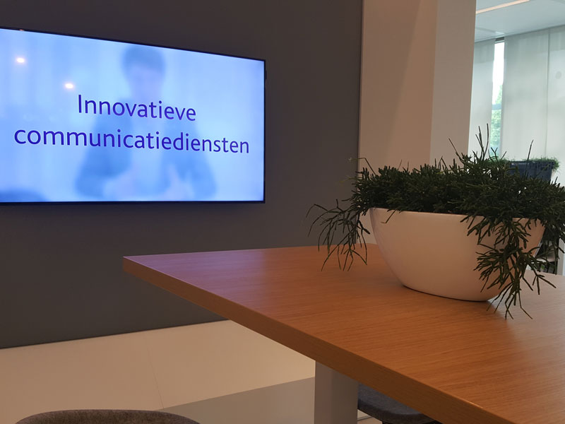 Verzorgen van planten op kantoor