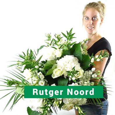 Rutger Noord