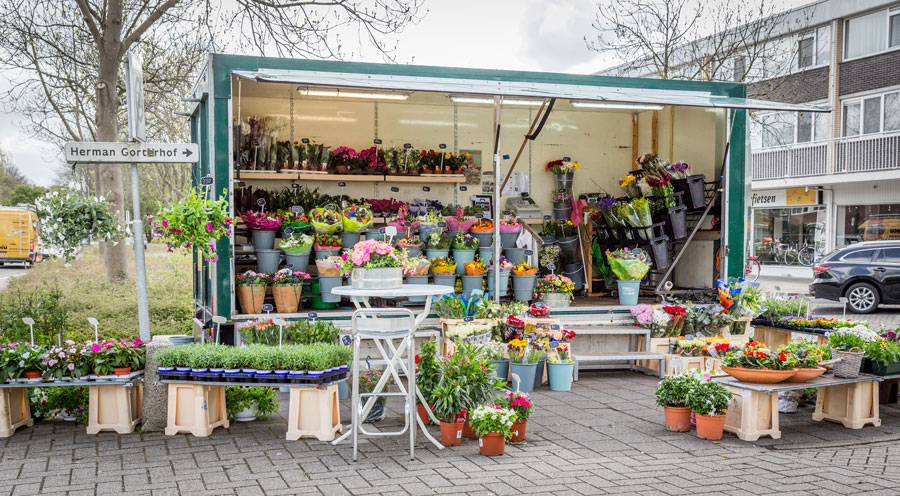 Vijftig Hoop van Christendom Onze Bloemen- en planten winkels in de regio | Duoplant zakelijk
